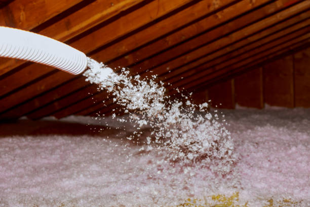 Best Residential Insulation Services  in Endicott, NY