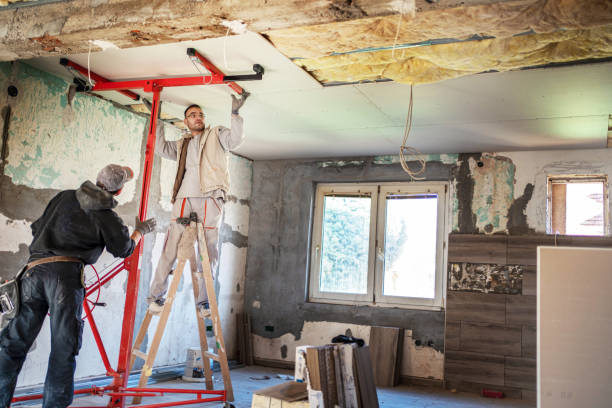 Best Insulation Removal Services  in Endicott, NY