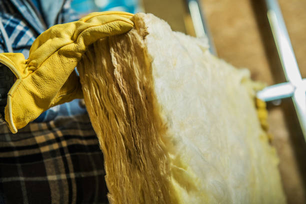 Best Attic Insulation Installation  in Endicott, NY