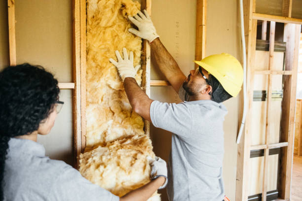 Best Insulation Removal  in Endicott, NY