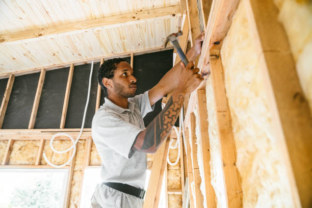 Best Crawl Space Insulation  in Endicott, NY