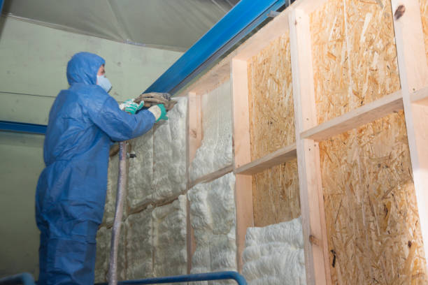 Best Attic Insulation Near Me  in Endicott, NY