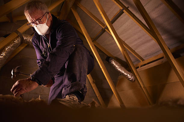 Best Energy-efficient Insulation  in Endicott, NY